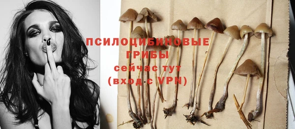 мяу мяу кристалл Лихославль