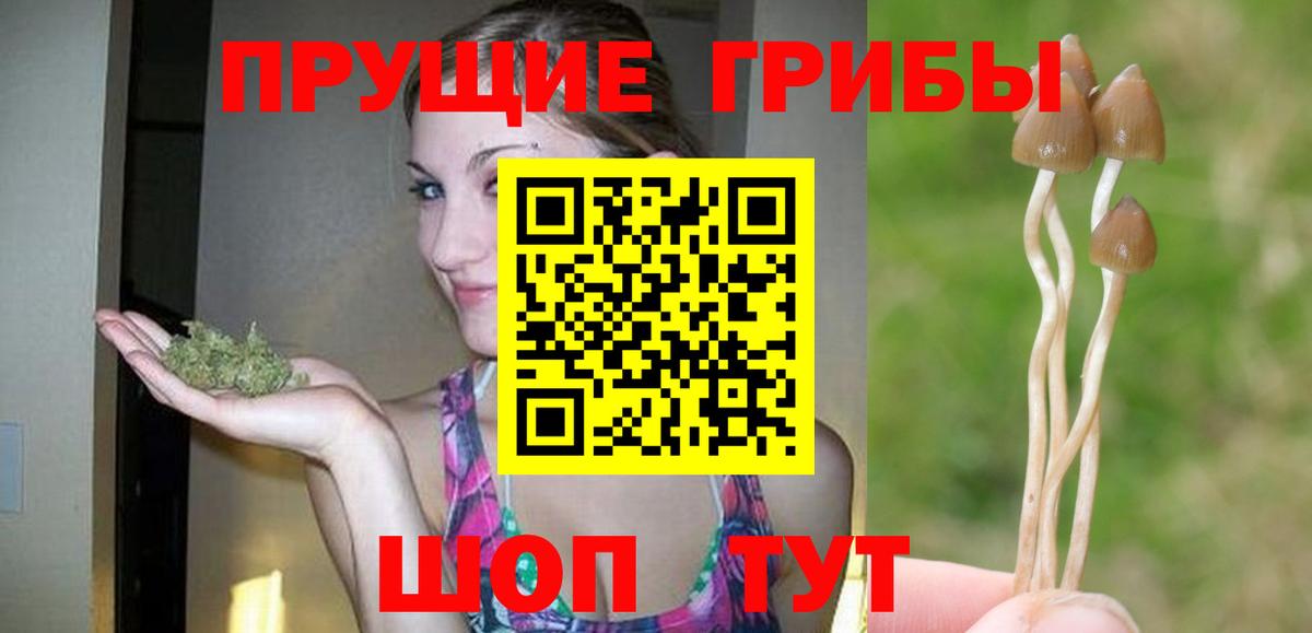 Галлюциногенные грибы прущие грибы Нальчик