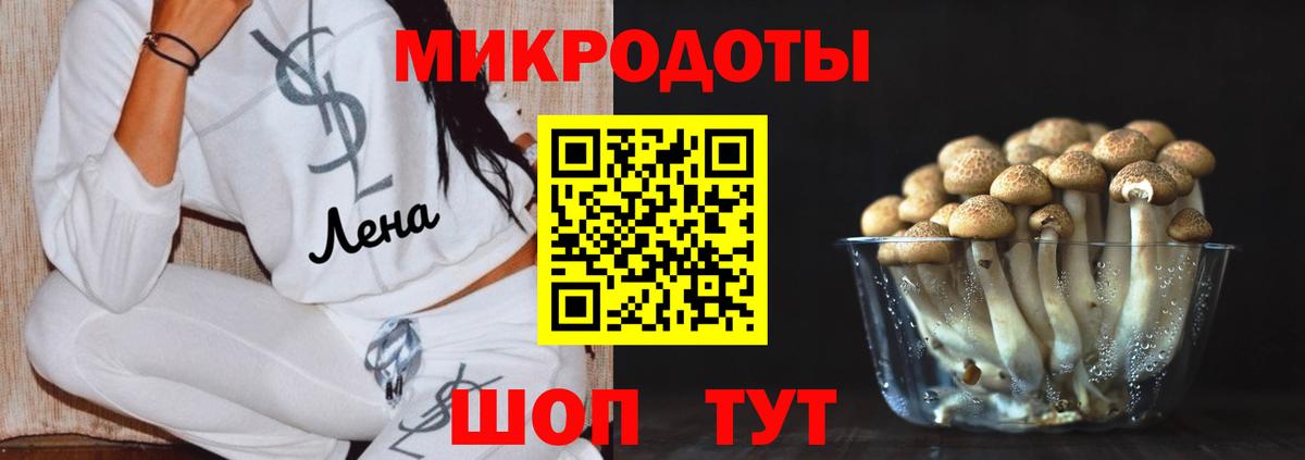 Нальчик  Галлюциногенные грибы Psilocybe  Галлюциногенные грибы мухоморы  Вход с VPN 